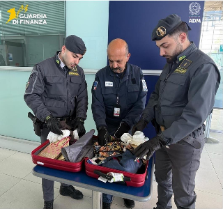 Ancona - Controlli all’Aeroporto delle Marche: sequestrati oltre 55mila euro a un passeggero diretto a Barcellona